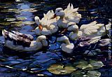 Five Ducks In A Pond by Willem Koekkoek